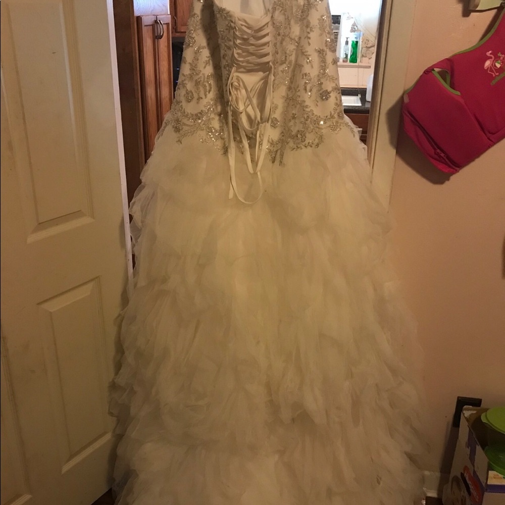 David’s bridal plus size wedding dress - Picture 2 of 6